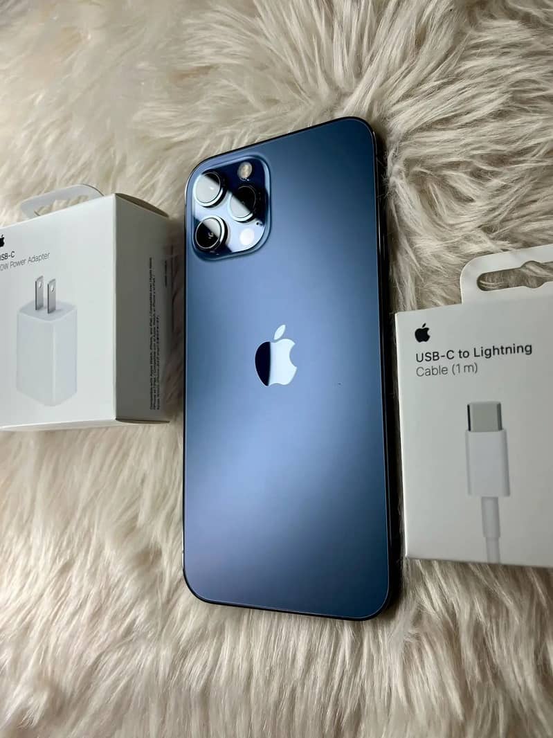 Apple iPhone 12 Pro Max 1