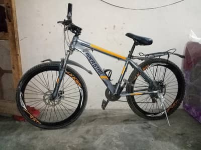 Lazer Star Bicycle