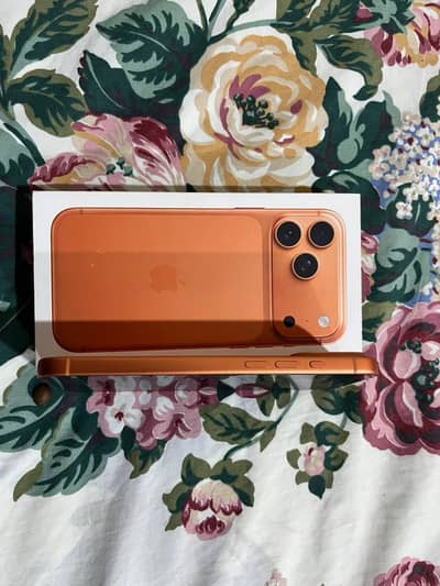 Apple iPhone 17 Pro Max