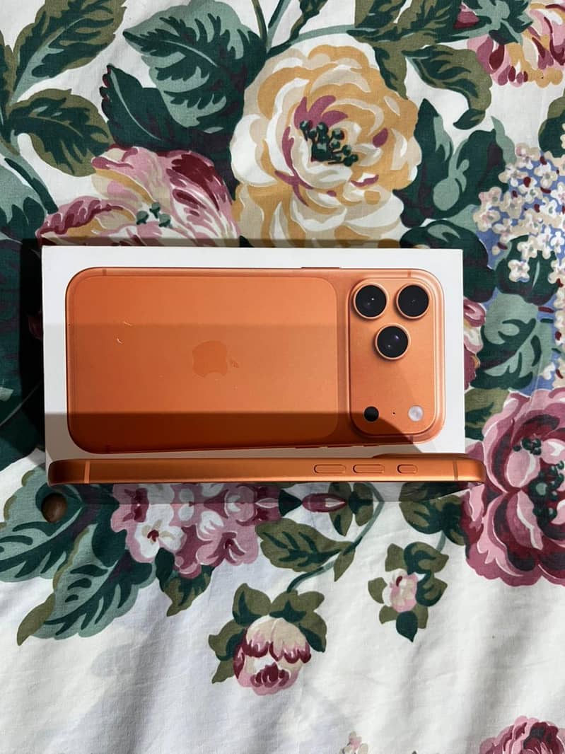 Apple iPhone 17 Pro Max 0