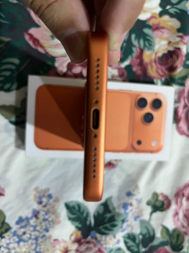 Apple iPhone 17 Pro Max 5