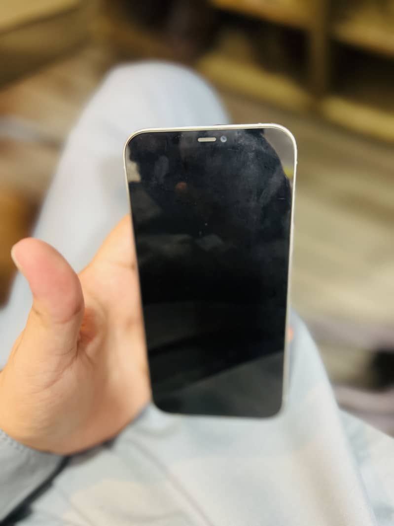 iPhone 12 Pro Max 5