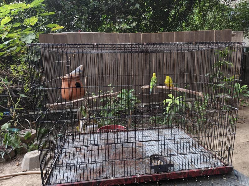 folding cage 0