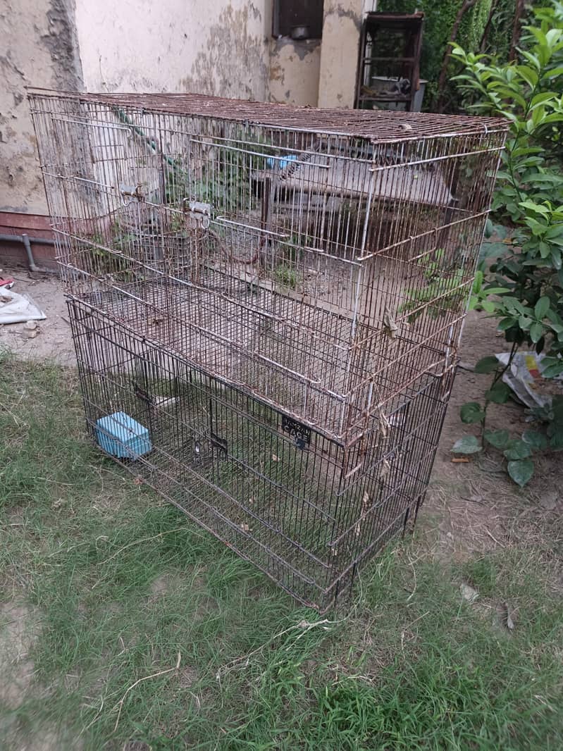 folding cage 2