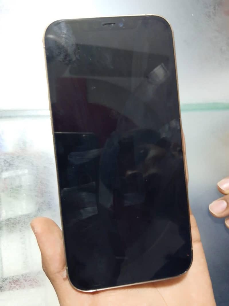 Apple iPhone 12 Pro Max 2