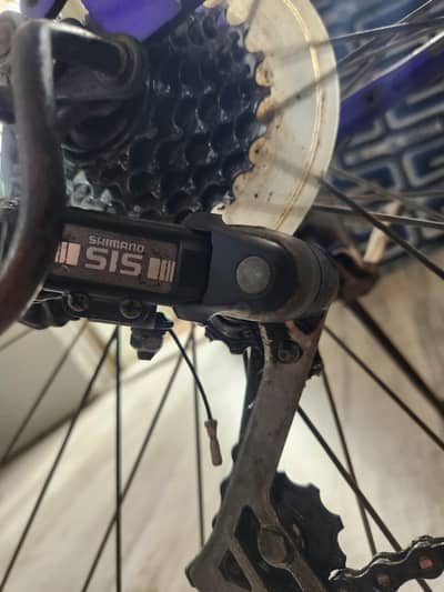 orignal Malaysian cycle