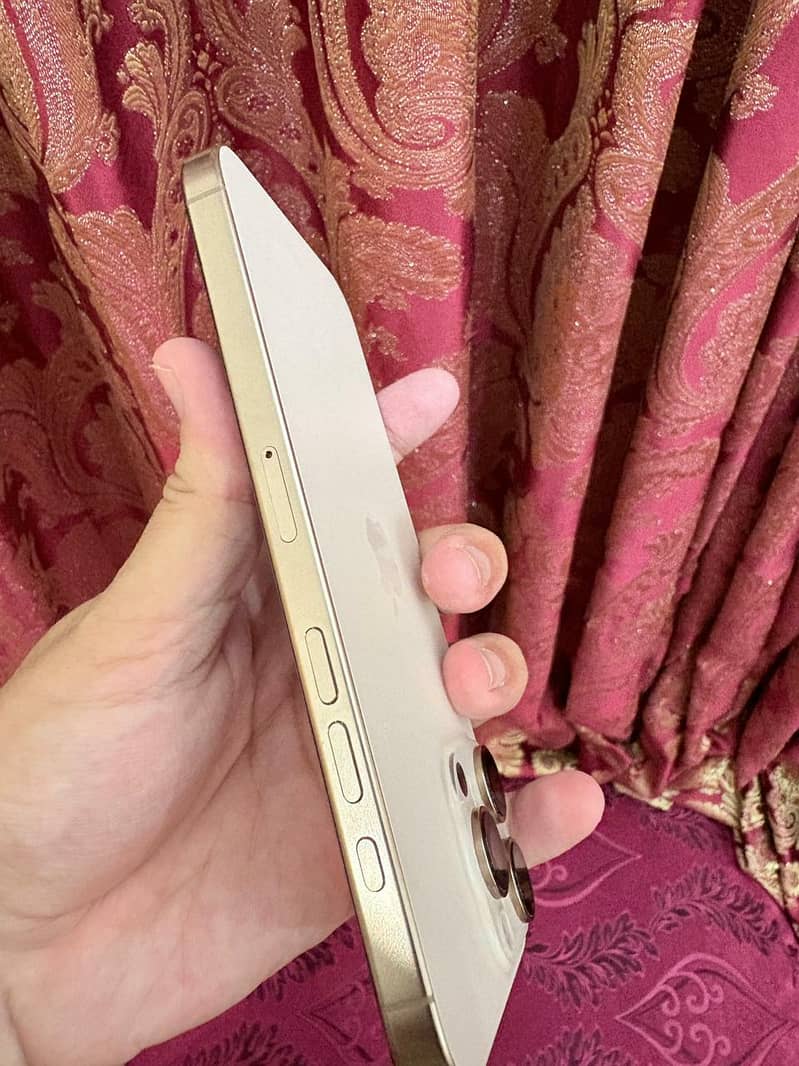 Apple iPhone 16 Pro Max 2