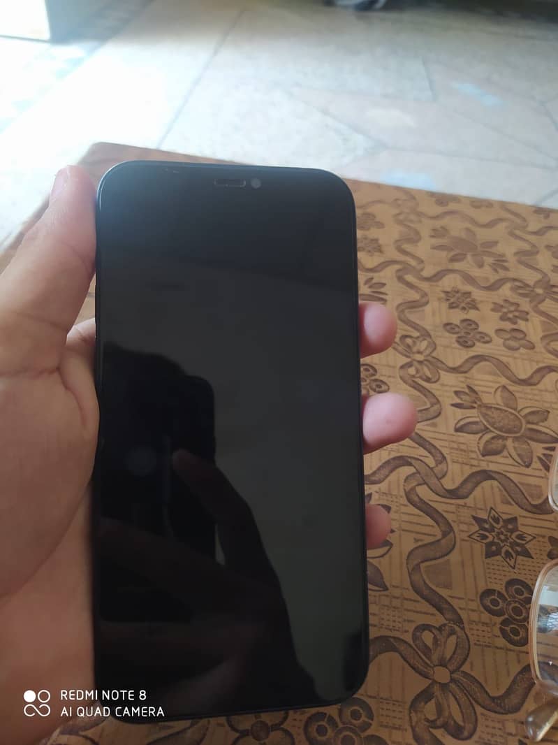 Apple iPhone 12 1