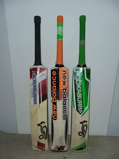 hard ball new bat