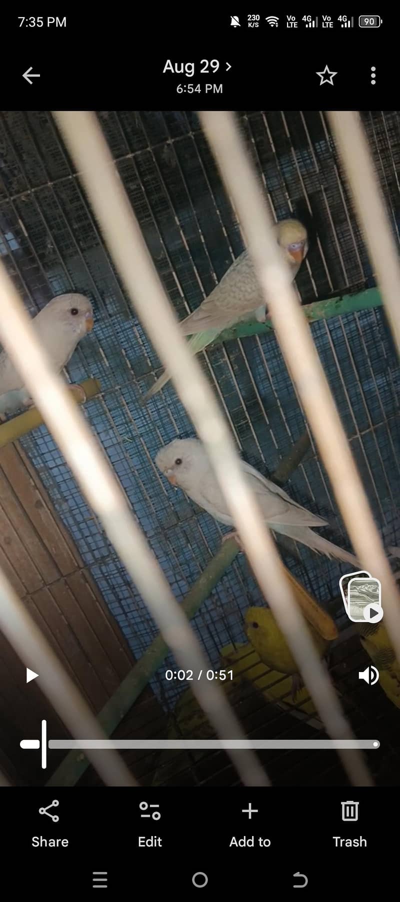bajri 2