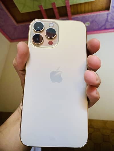 Apple iPhone 13 Pro Max jv