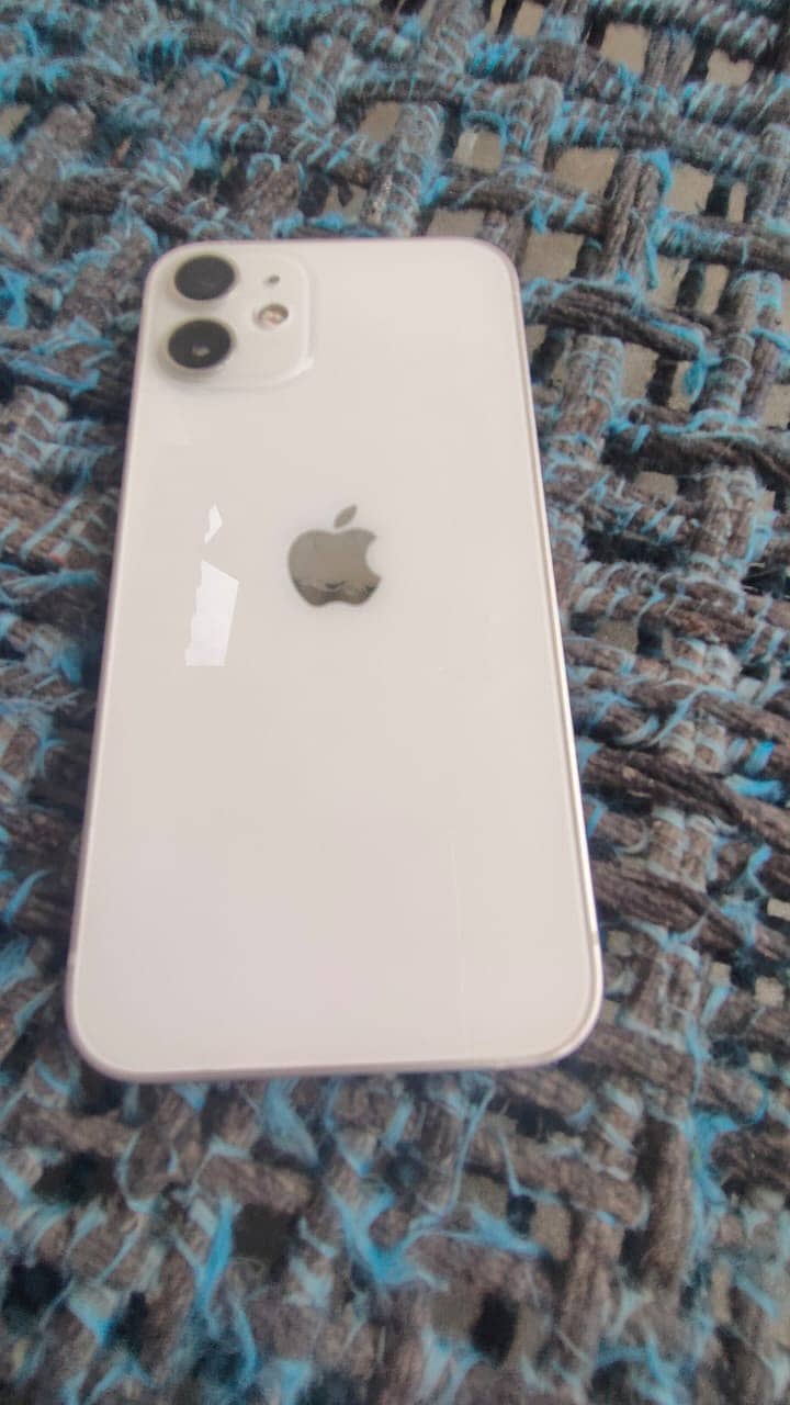 iPhone 12 mini 1
