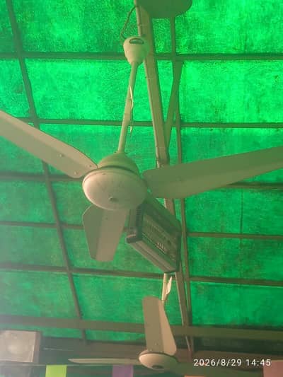 Fans for Sale