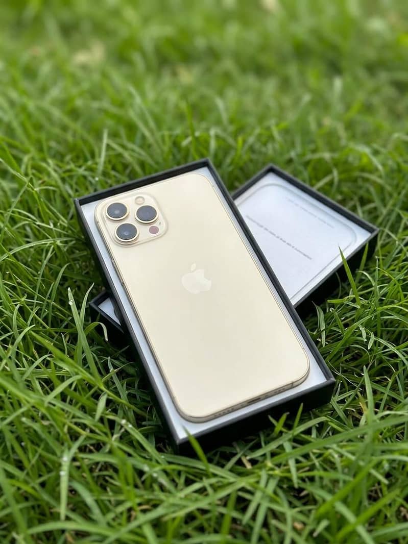 Apple iPhone 13 Pro Max 1