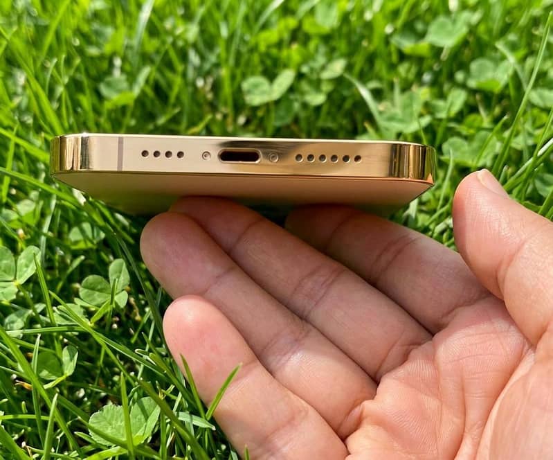 Apple iPhone 13 Pro Max 2