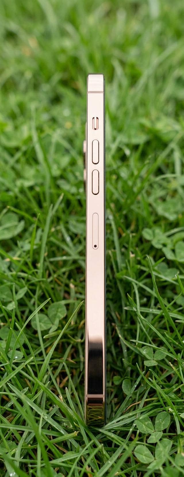 Apple iPhone 13 Pro Max 3
