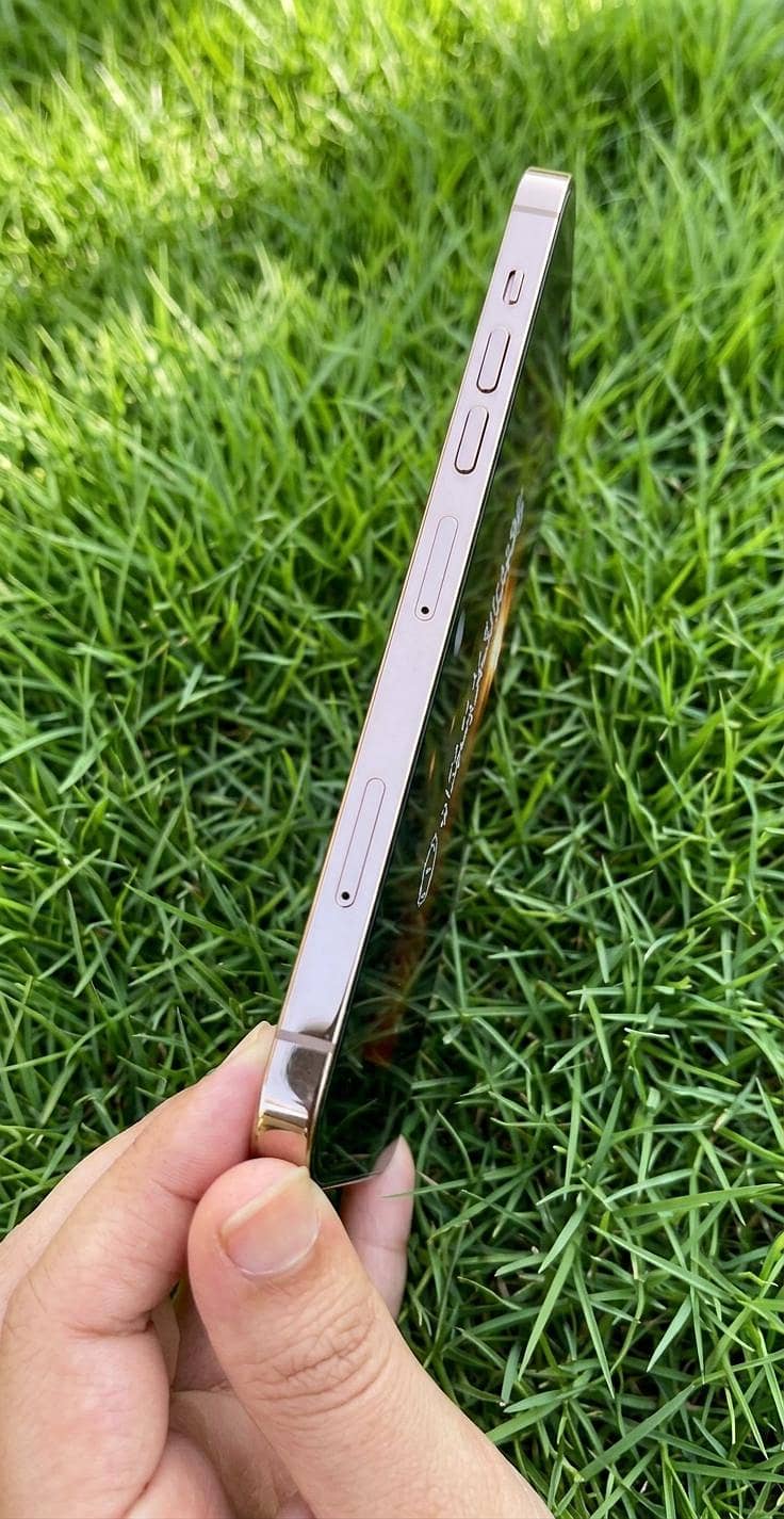 Apple iPhone 13 Pro Max 4
