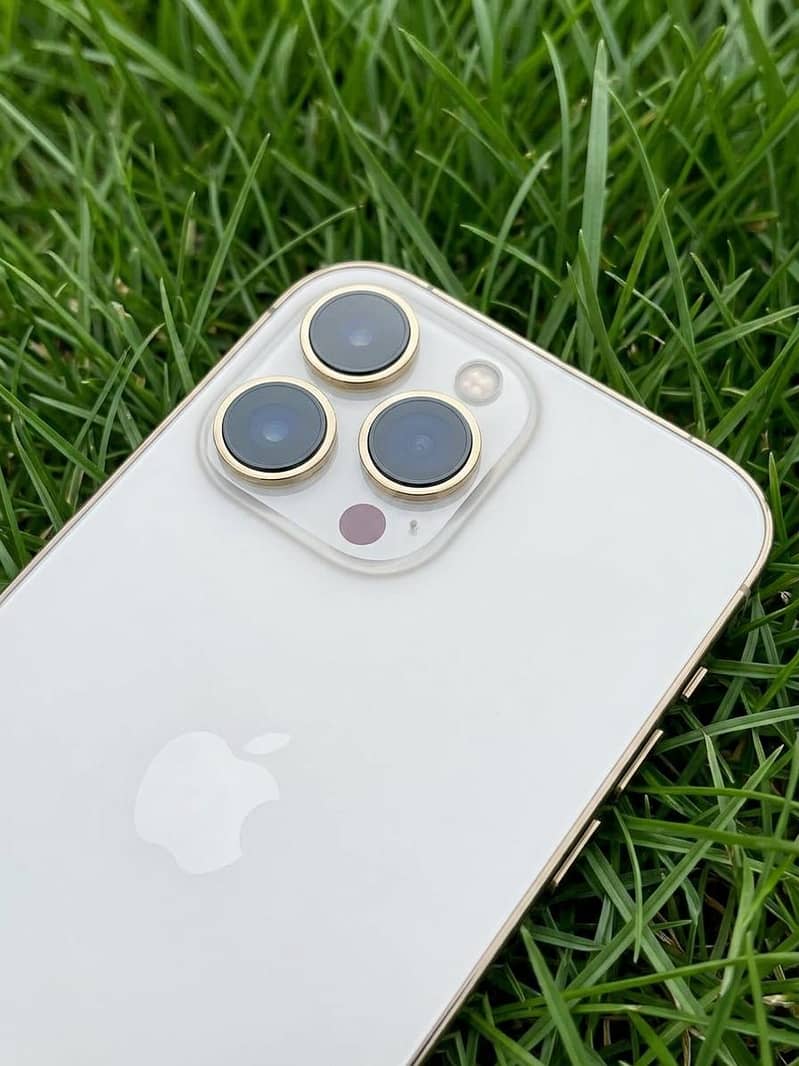 Apple iPhone 13 Pro Max 5