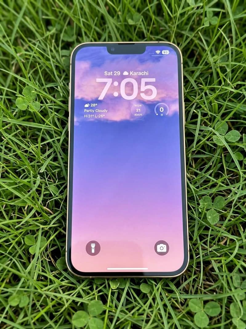 Apple iPhone 13 Pro Max 6