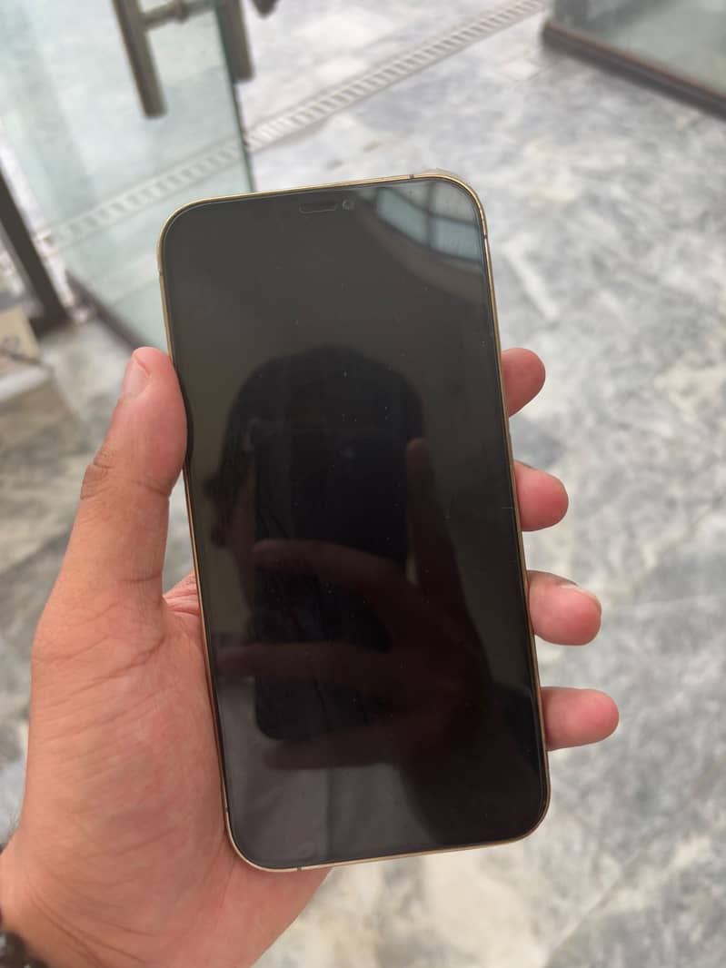 Apple iPhone 12 Pro Max 1