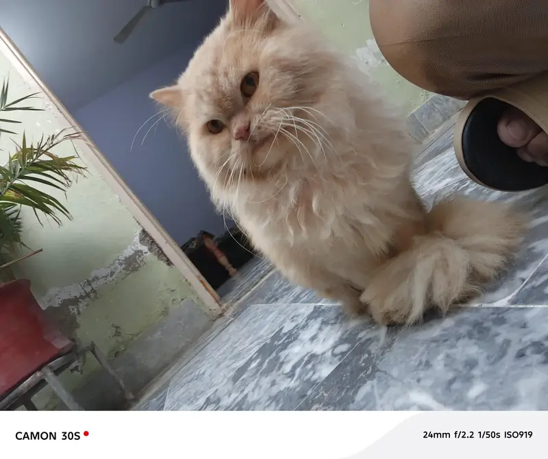 shera and lilly — photo 6