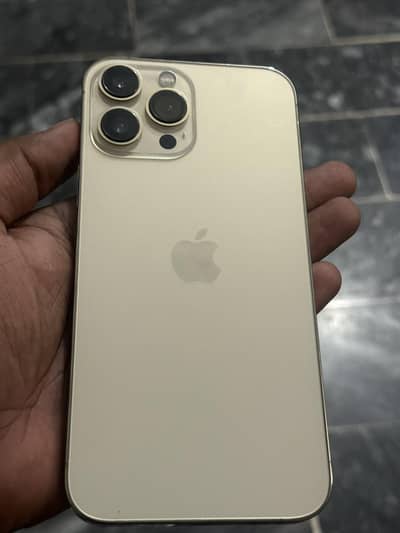 Apple iPhone 13 Pro Max