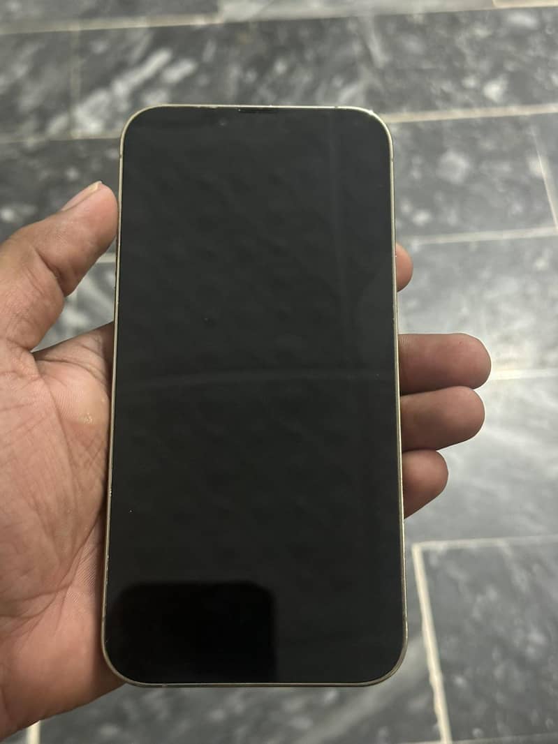 Apple iPhone 13 Pro Max 1