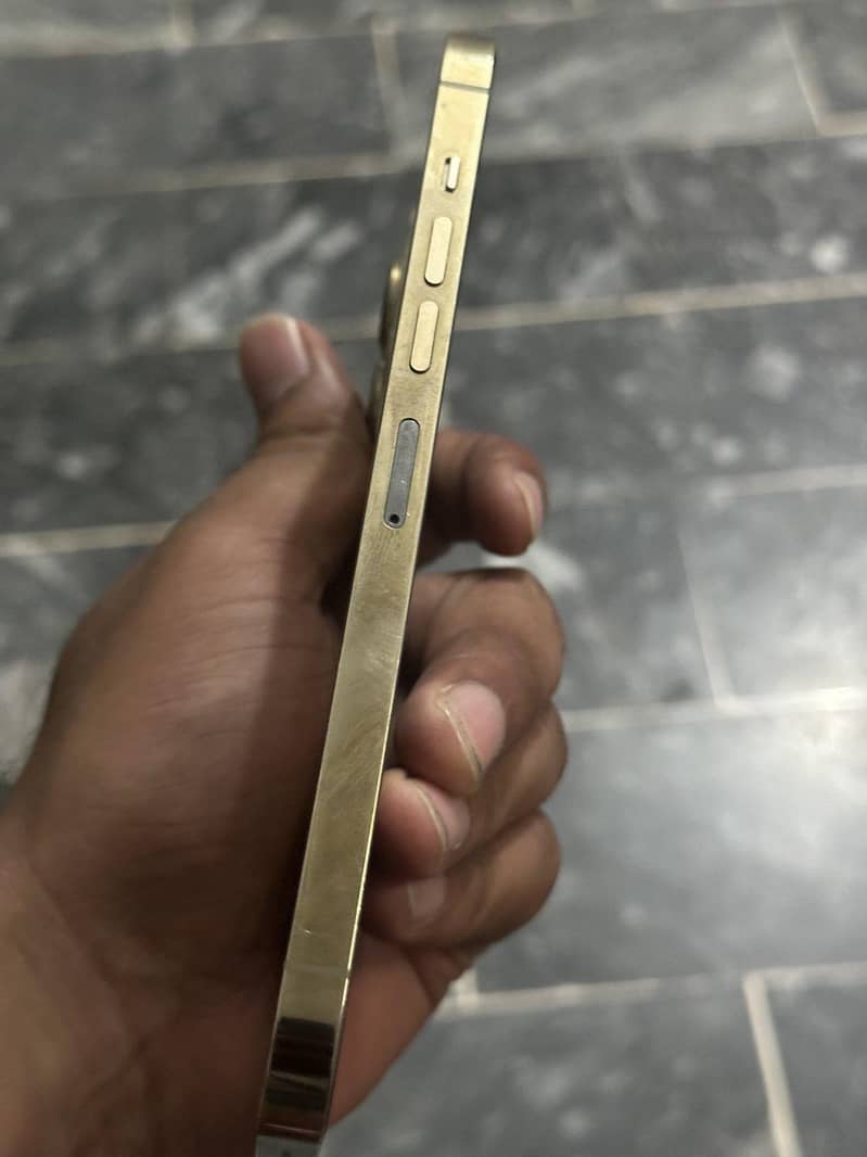 Apple iPhone 13 Pro Max 3