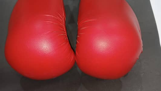 premium boxing gloves, 9/10 condition