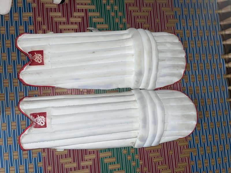 Cricket kit 1