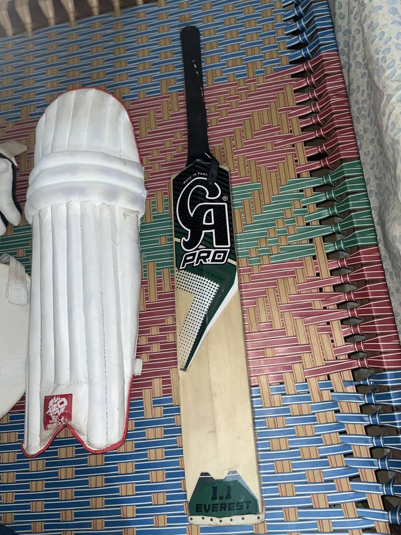 Cricket kit 2