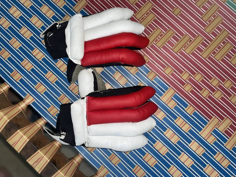 Cricket kit 5