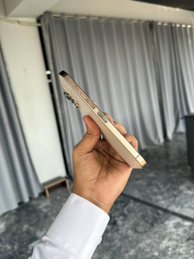 Apple iPhone 13 Pro Max mdm 1