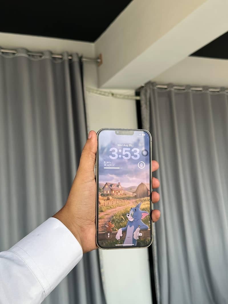 Apple iPhone 13 Pro Max mdm 6