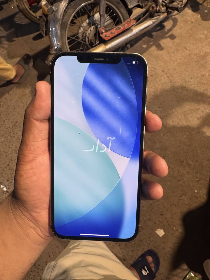 Apple iPhone 12 Pro Max 1
