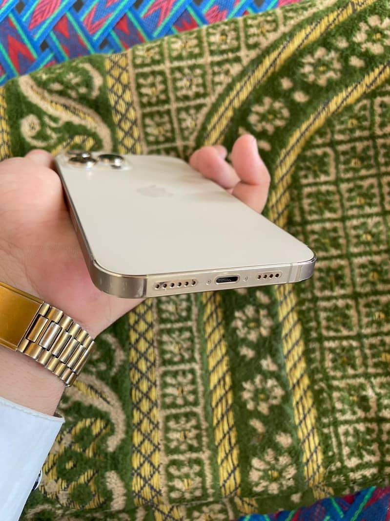 Apple iPhone 13 Pro Max 1