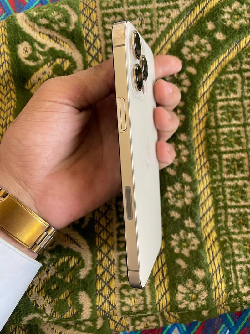 Apple iPhone 13 Pro Max 2