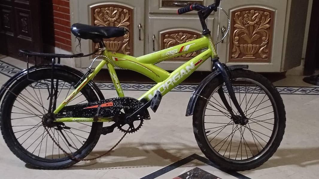 beatiful cycle 0
