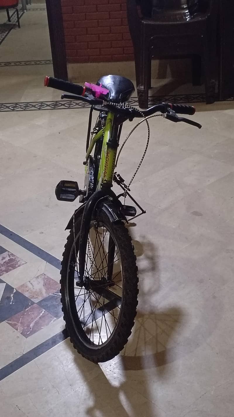 beatiful cycle 2