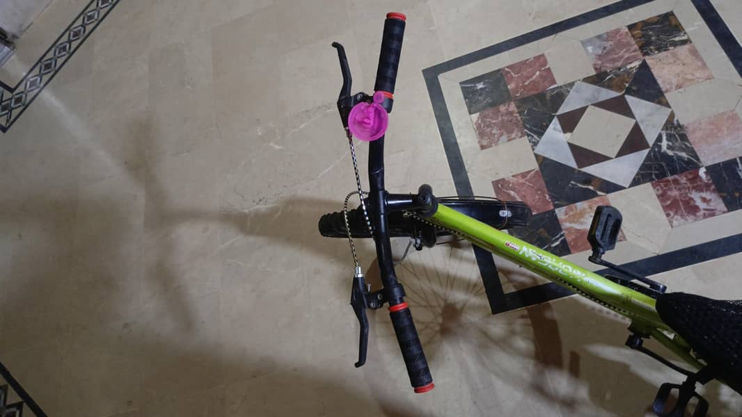 beatiful cycle 6