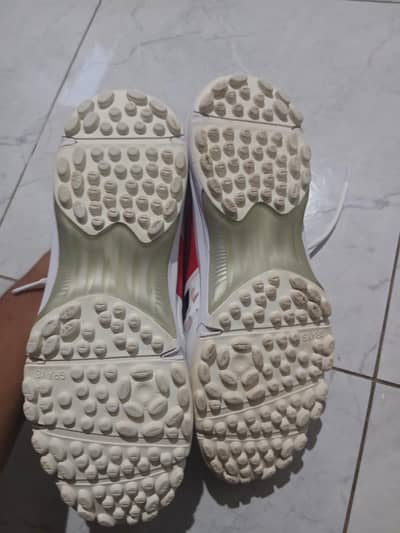 gray nikolls shoes