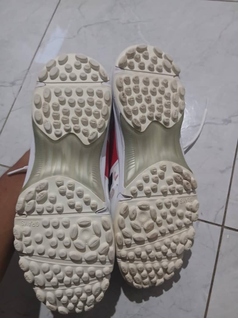 gray nikolls shoes 0