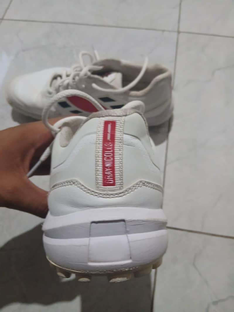 gray nikolls shoes 1