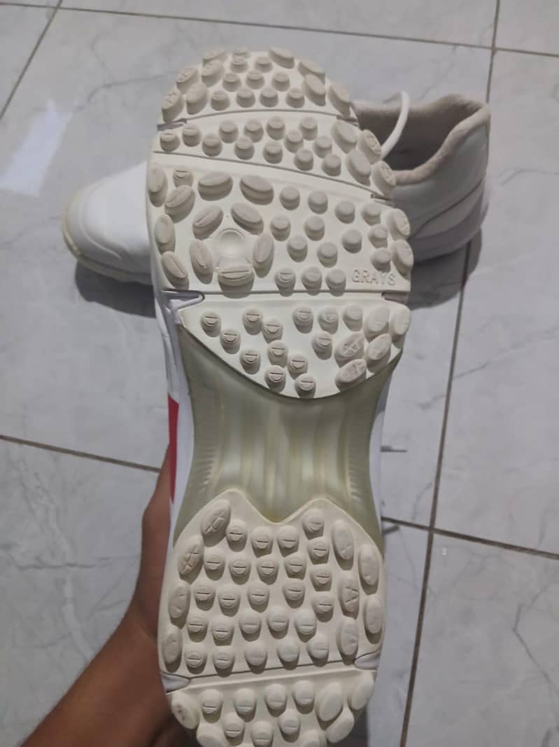 gray nikolls shoes 6