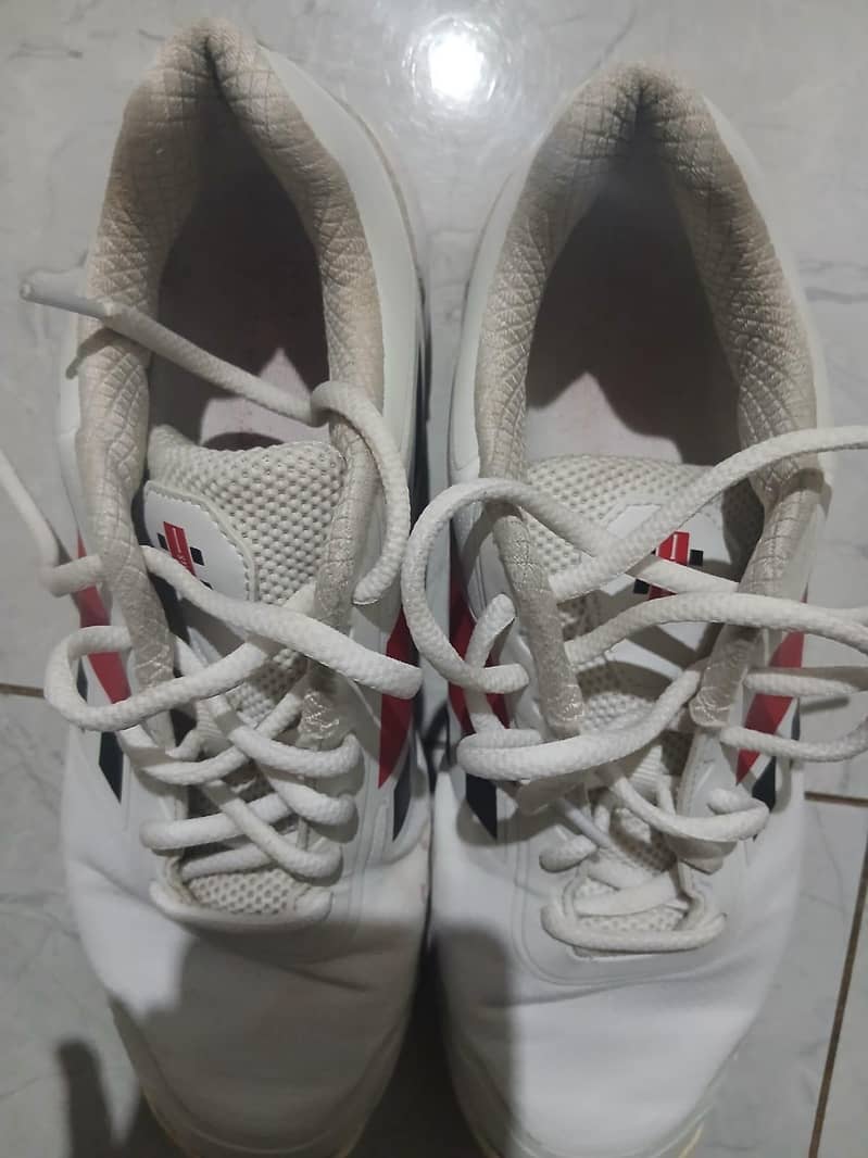 gray nikolls shoes 7