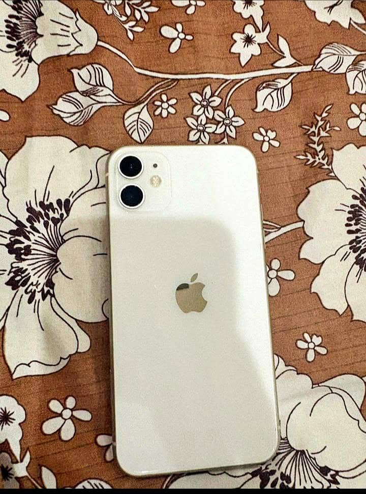 iPhone 11 0