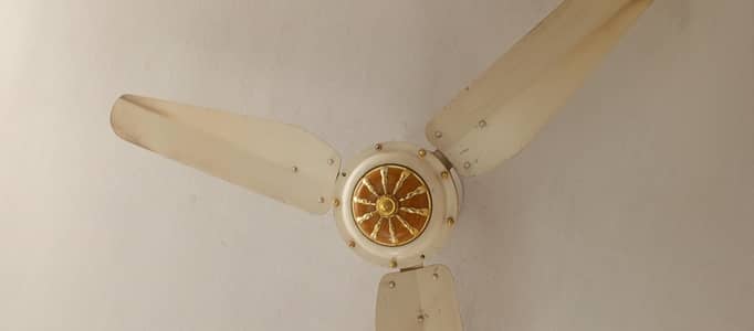Al sheikh Fan 56