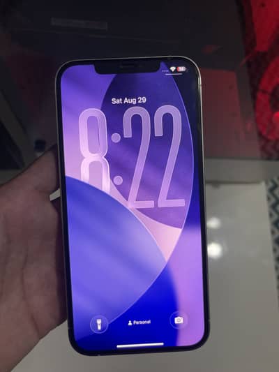 Apple iPhone 12 Pro Max
