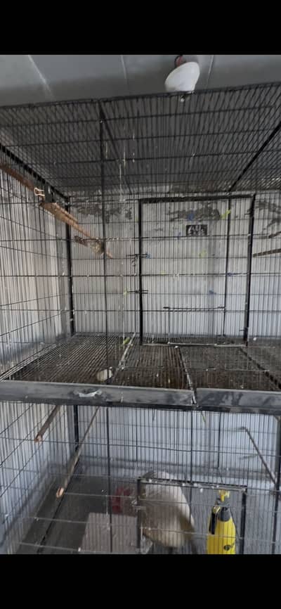 5x3x2.5 ft 2 Cages - 20 Dana boxes - 20 breeding keekar boxes lovebird