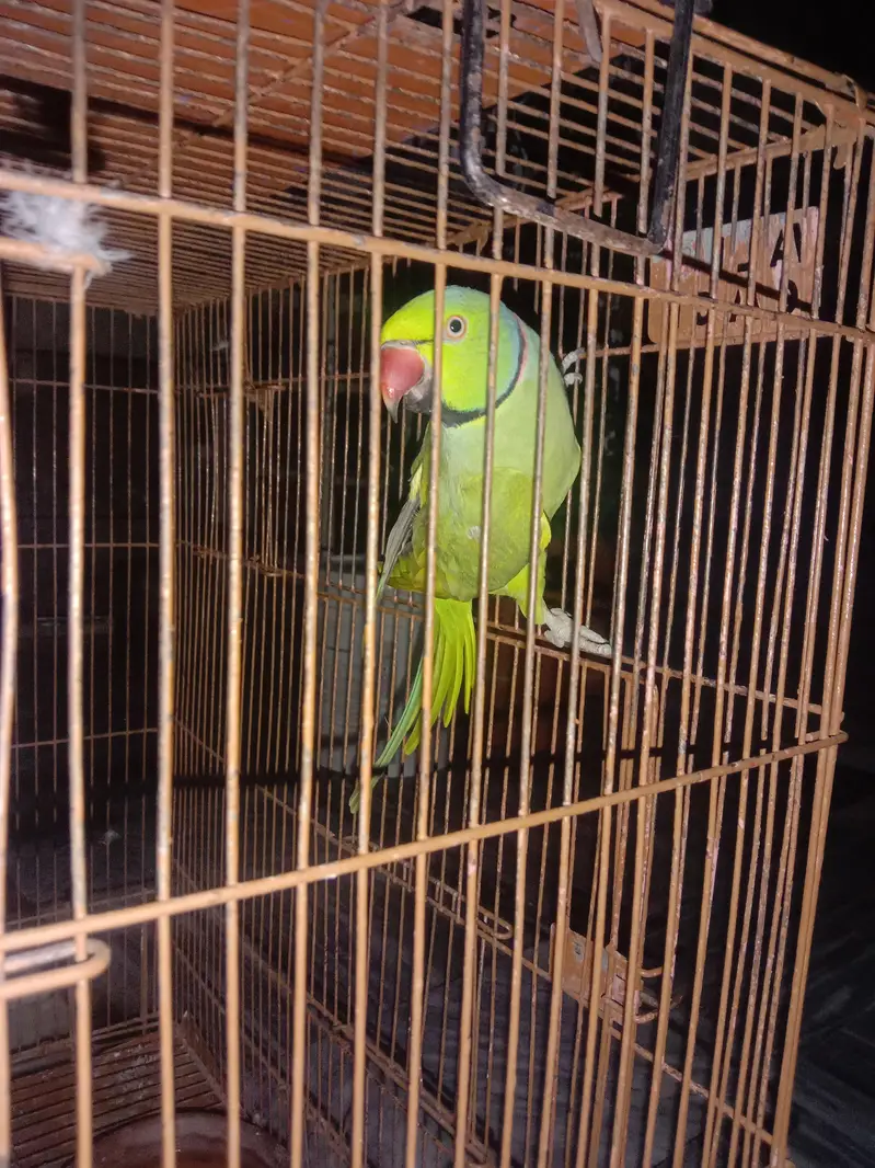 good health and energetic male — photo 3